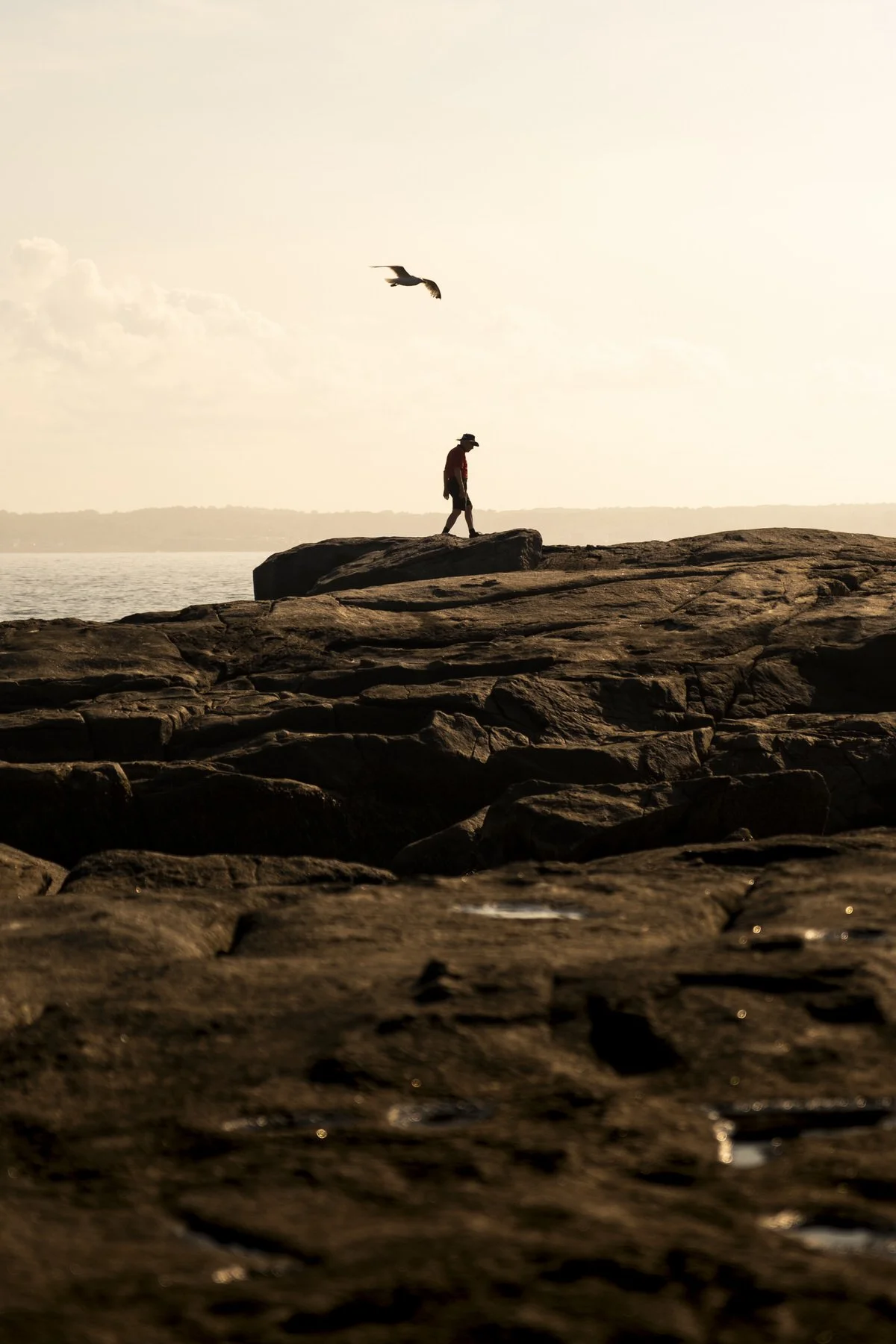 York-Coast-7530.jpg