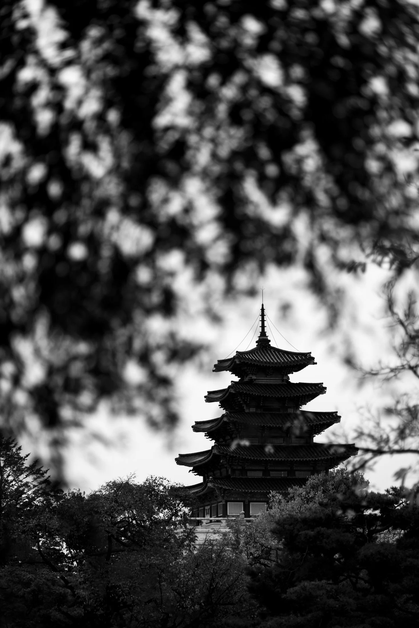 Faulk-Seoul-Korea-3947.jpg