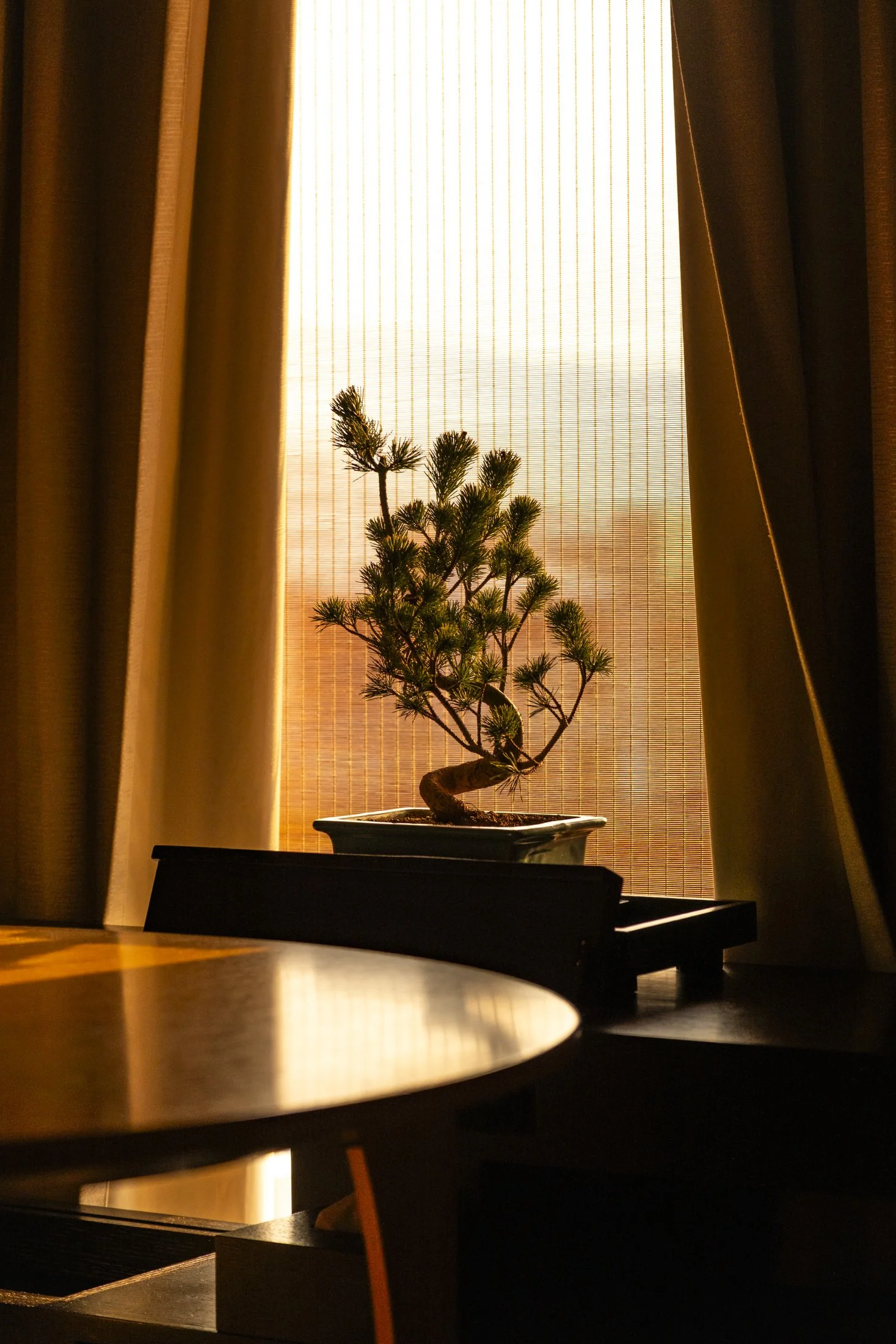 Ritz-Carlton-Kyoto-detail.jpg