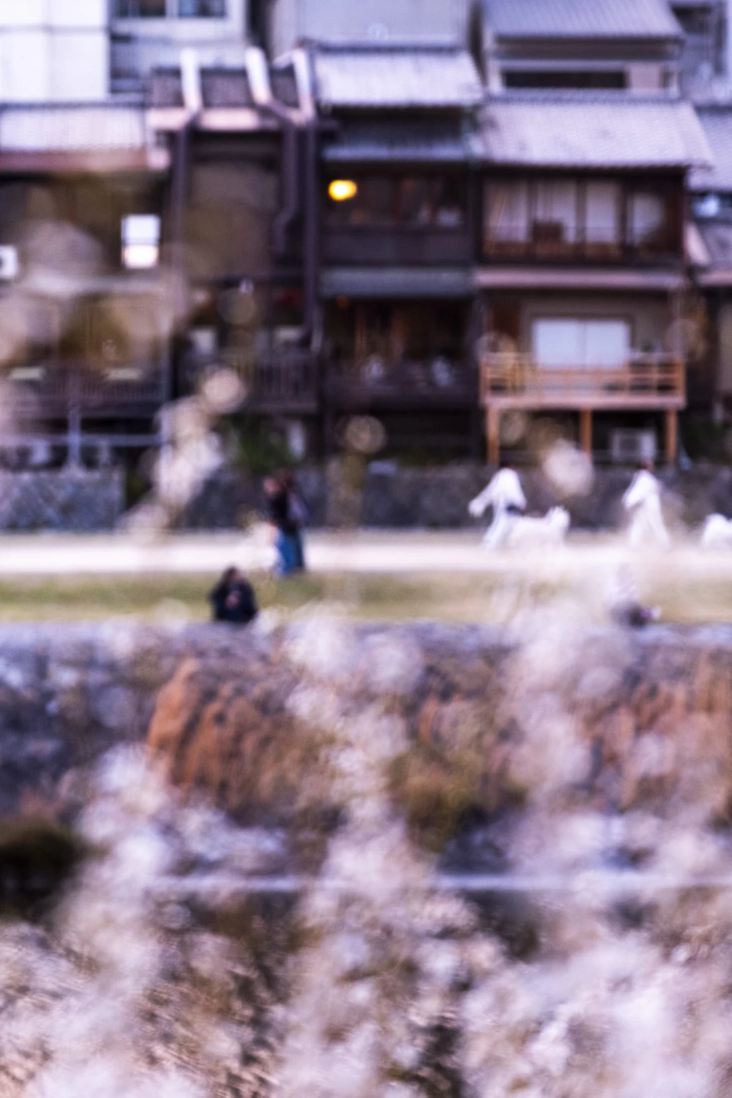 Ritz-Carlton-Kyoto-river-abstract.jpg