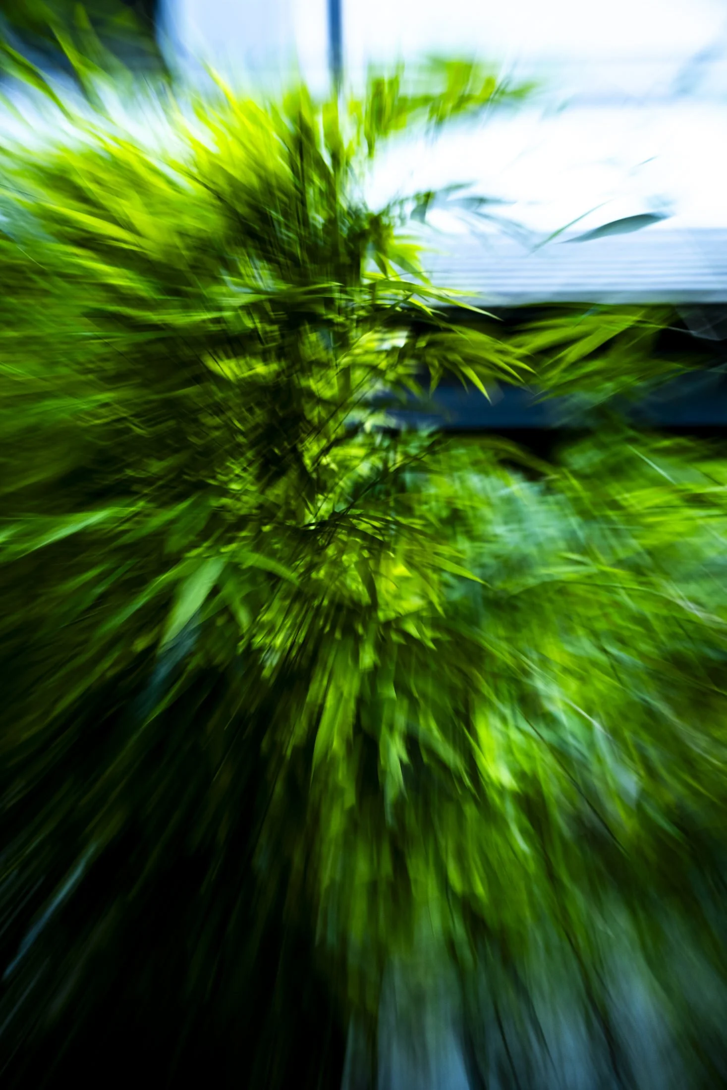 Ritz-Carlton-Kyoto-detail-bamboo.jpg