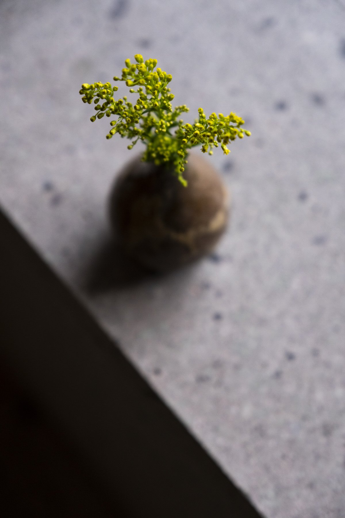 Azumi-Setoda-Room-Interior-22.jpg