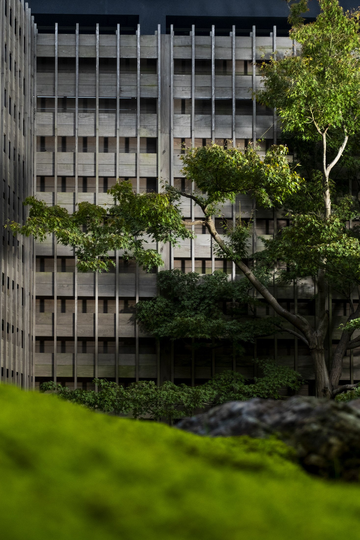 Hospitality-Azumi-Setoda-19.jpg