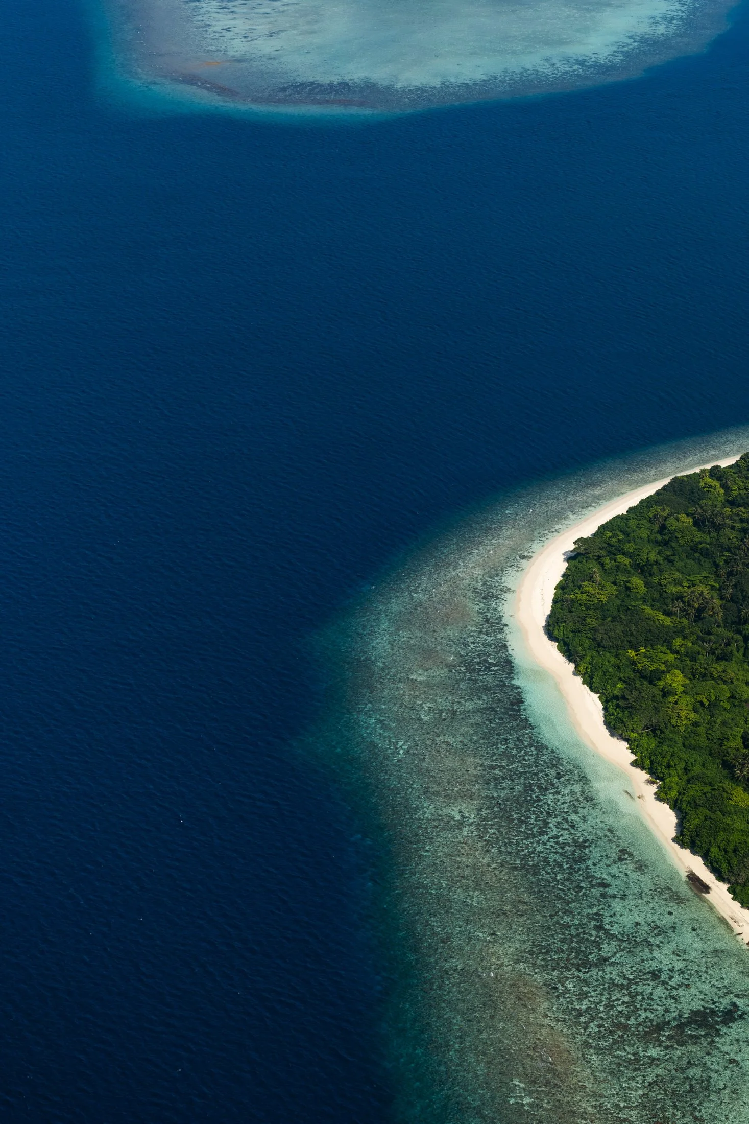 Hospitality-Joali-Being-Maldives-1.jpg