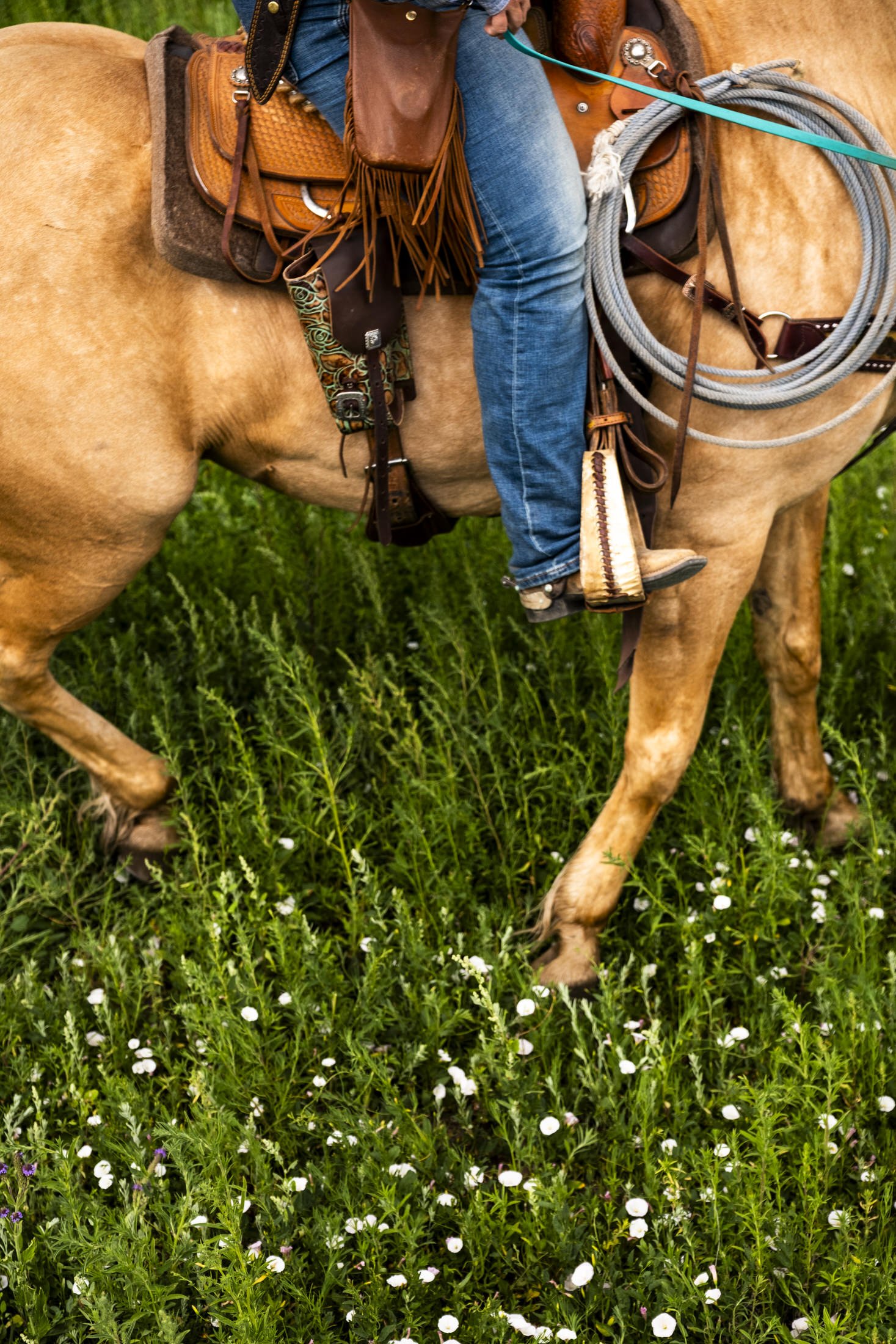 Wrangler rides a horse at Vermejo Reserve in New Mexico, USA