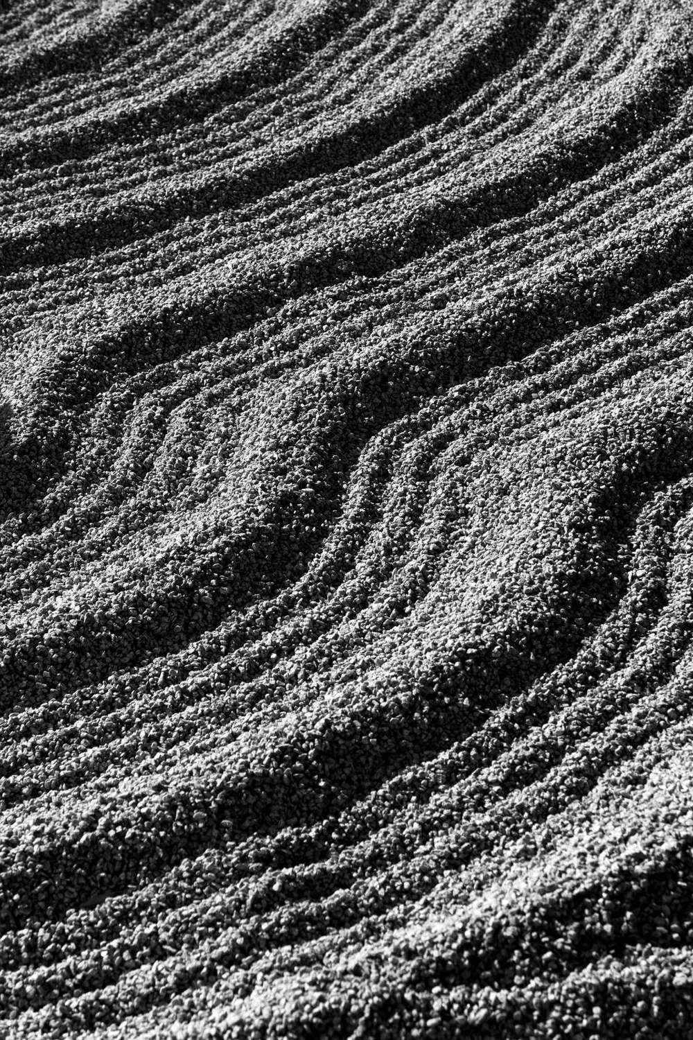 Dry zen garden detail in Kyoto, Japan