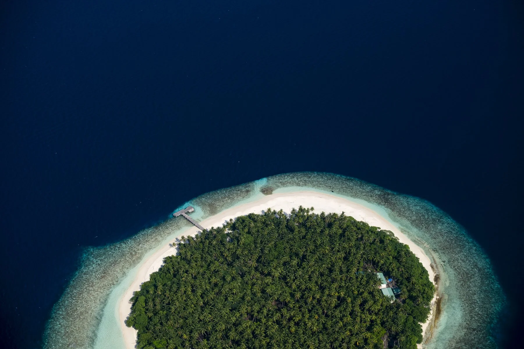 Aerial view of an island in the Maldives