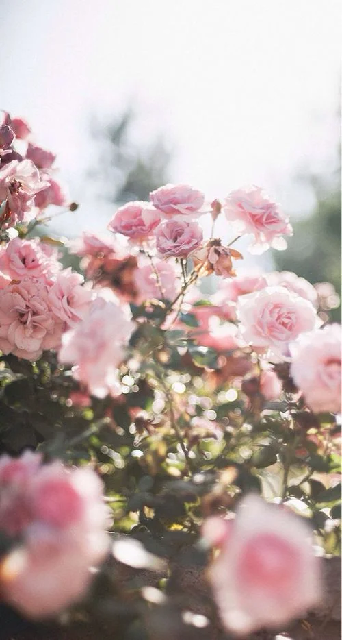 ACCEPTING YOUR REFLECTION