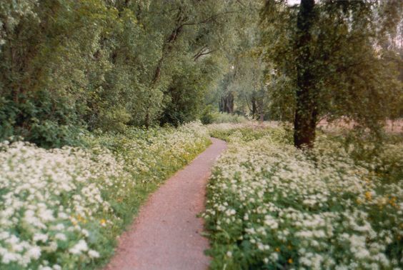 ARE YOU A MULTIPOTENTIALITE?