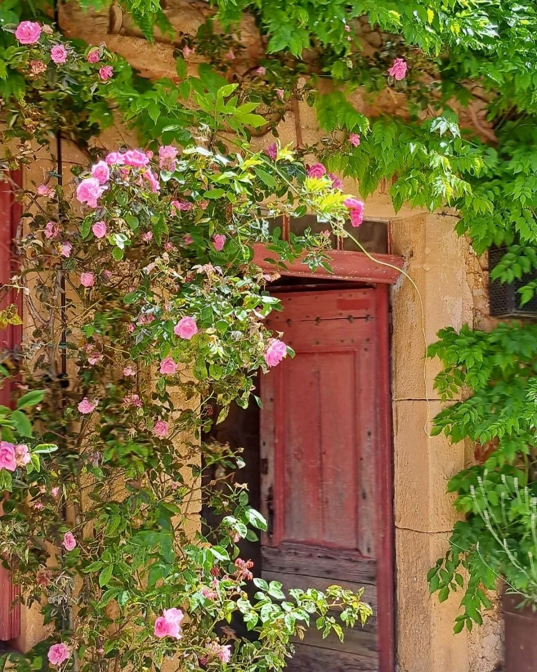 ✨Dreaming of the South of France? It&rsquo;s not too late to join on us on our Culinary Escape at the end of May! 

What could be better than a springtime adventure? Cooking classes, wine tastings, market shopping, and plenty of exploring in a beauti