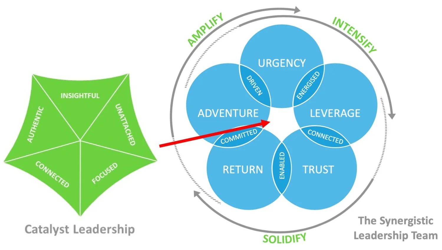 Cat and Syn Leadership Model.jpg