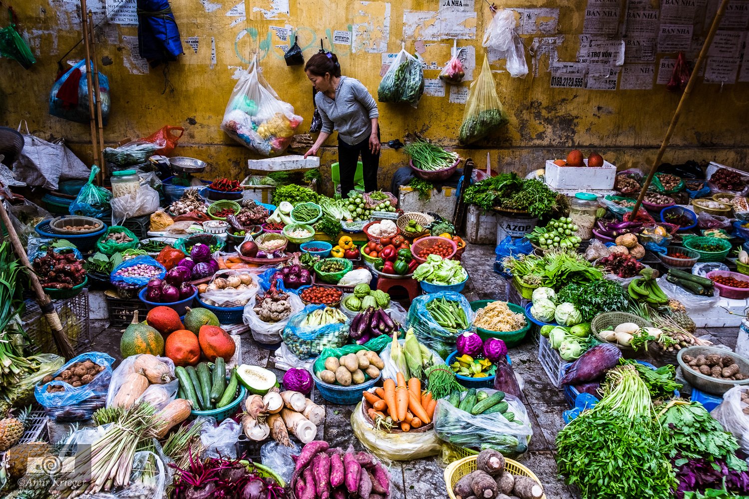  Hanoi 