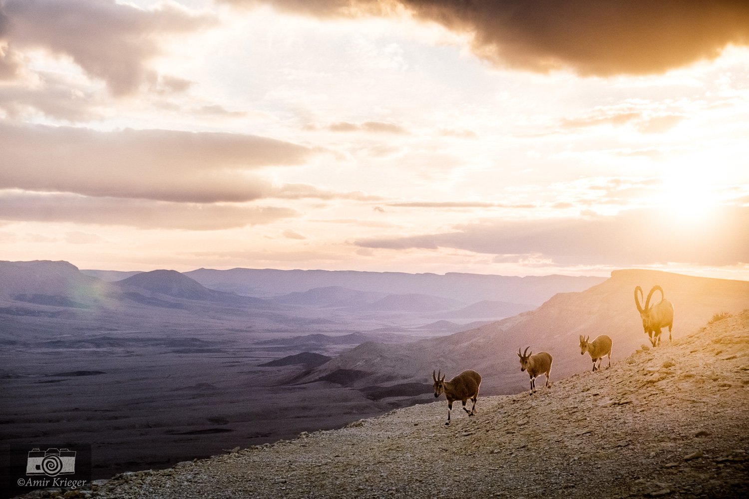  Mitzpe Ramon, Israel 