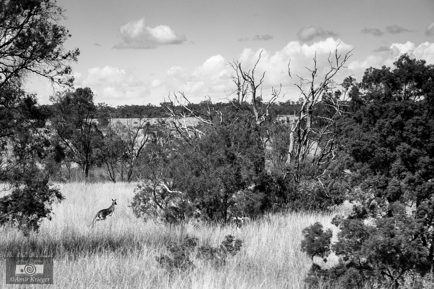  Queensland, Australia 