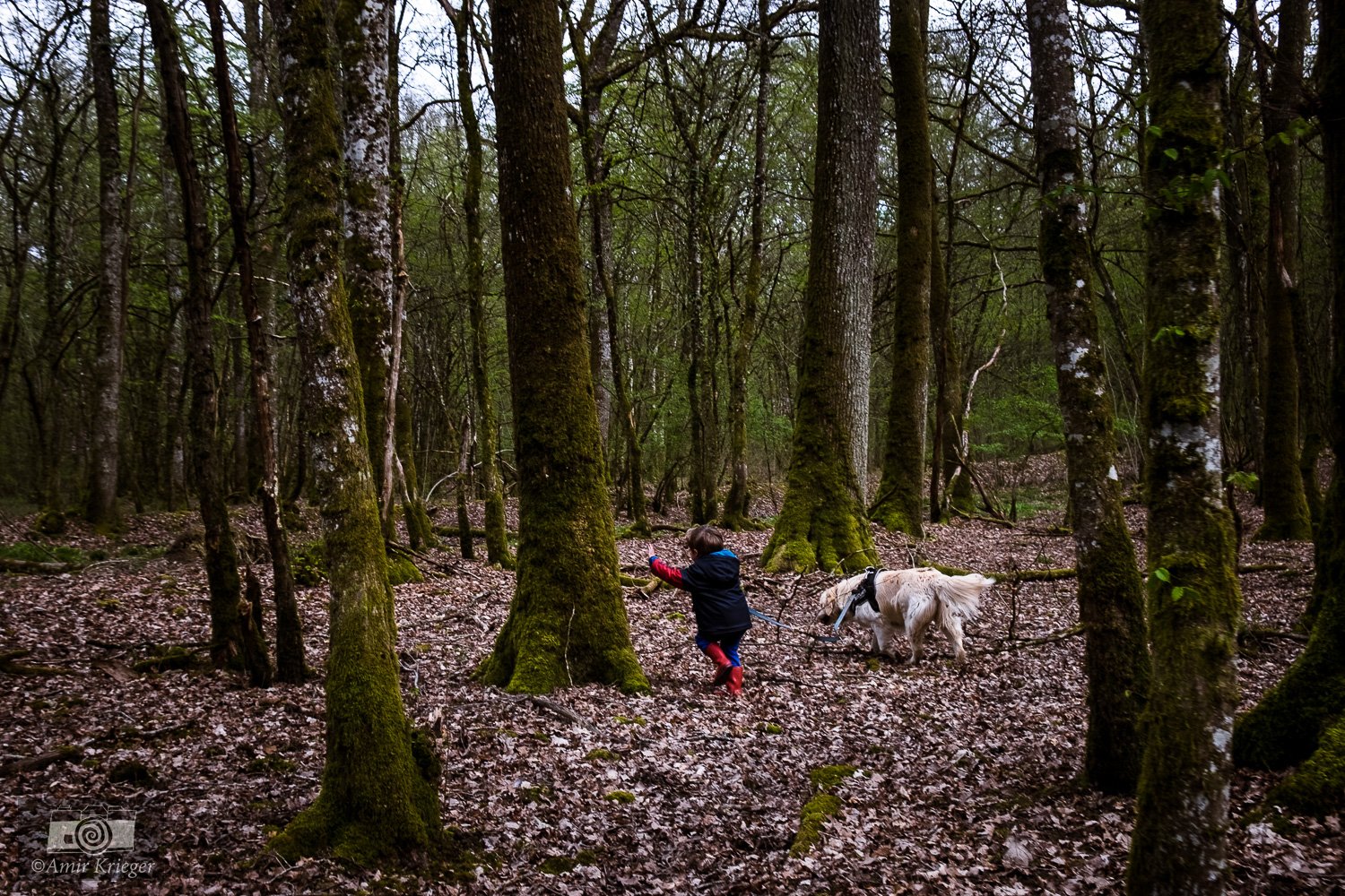  Bazolles, France 