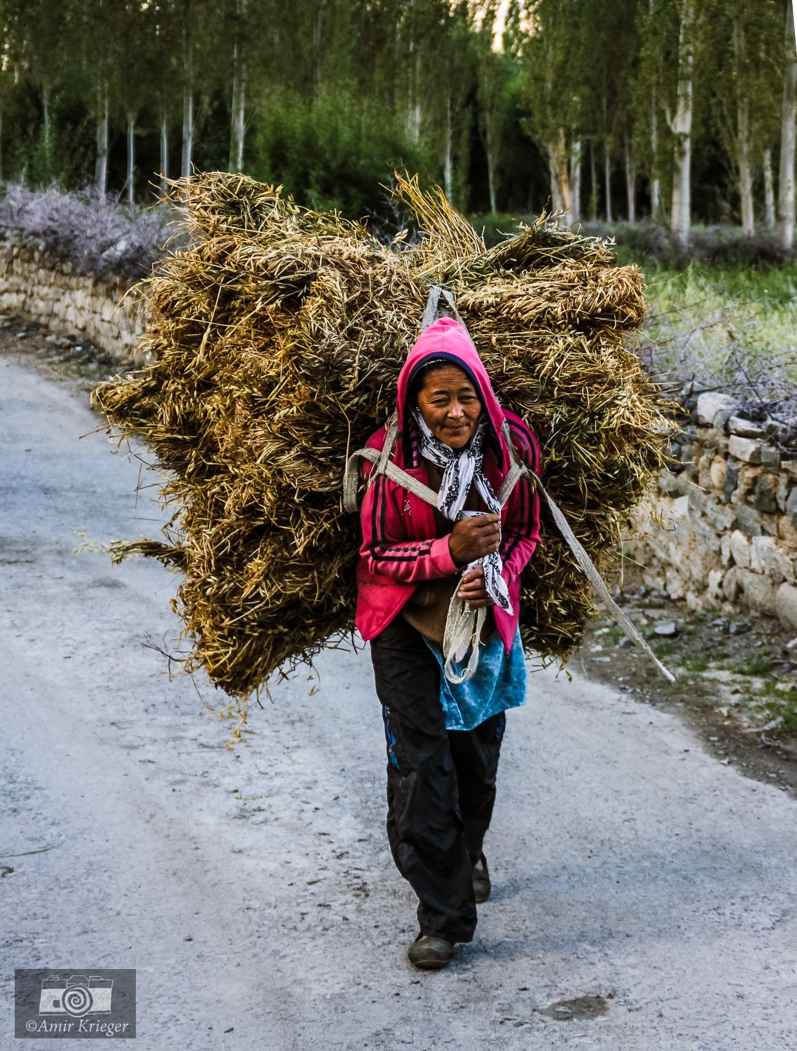  Hunder, Ladakh, India 