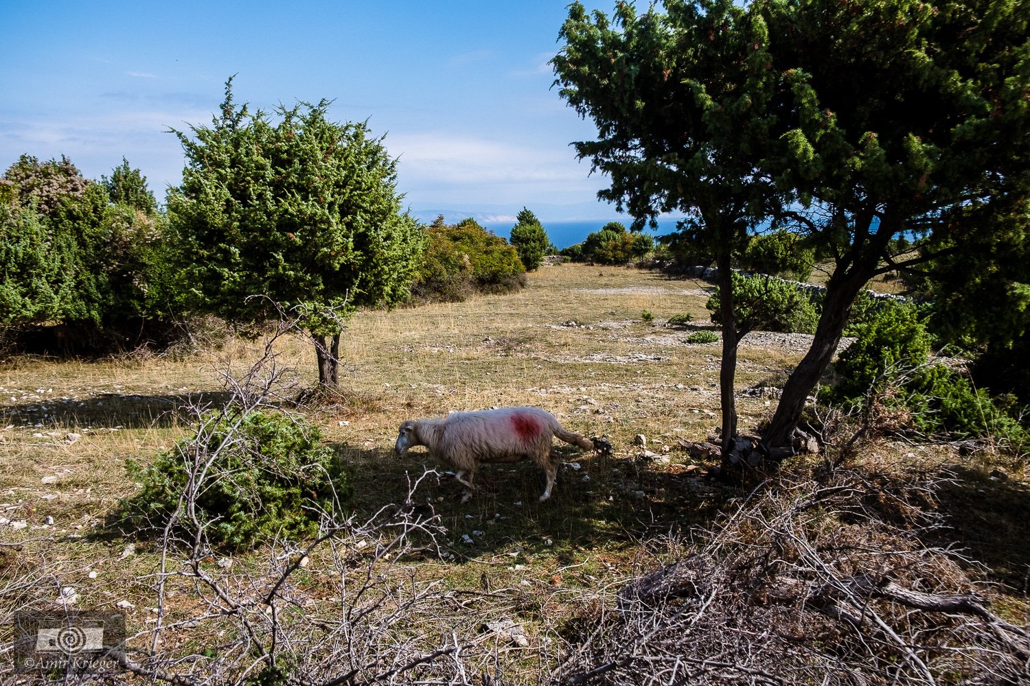  Cres, Croatia 