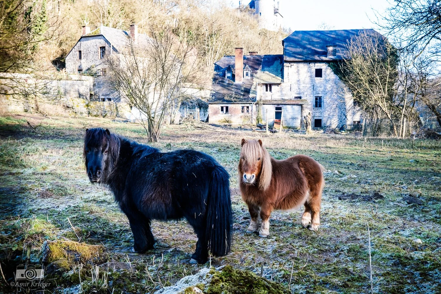 Château de Walzin, Belgium