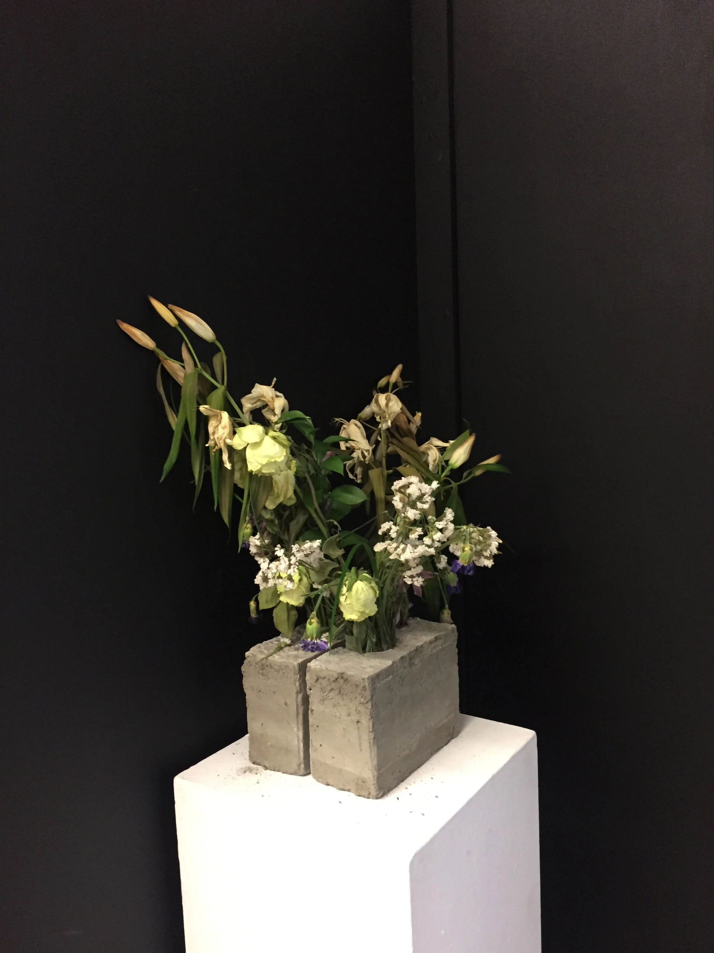 Still-life, still-life