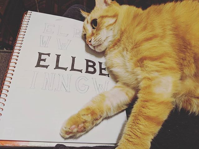 Cutest Companion/distraction while knocking out this project late night 🐈🐱 #handlettering #handlettered #handdrawn #handdrawntype #type #typography #cats #catsofinstagram #typetherapy #typespire #typespiration #typematters #typegang #typeart #typeappreciation