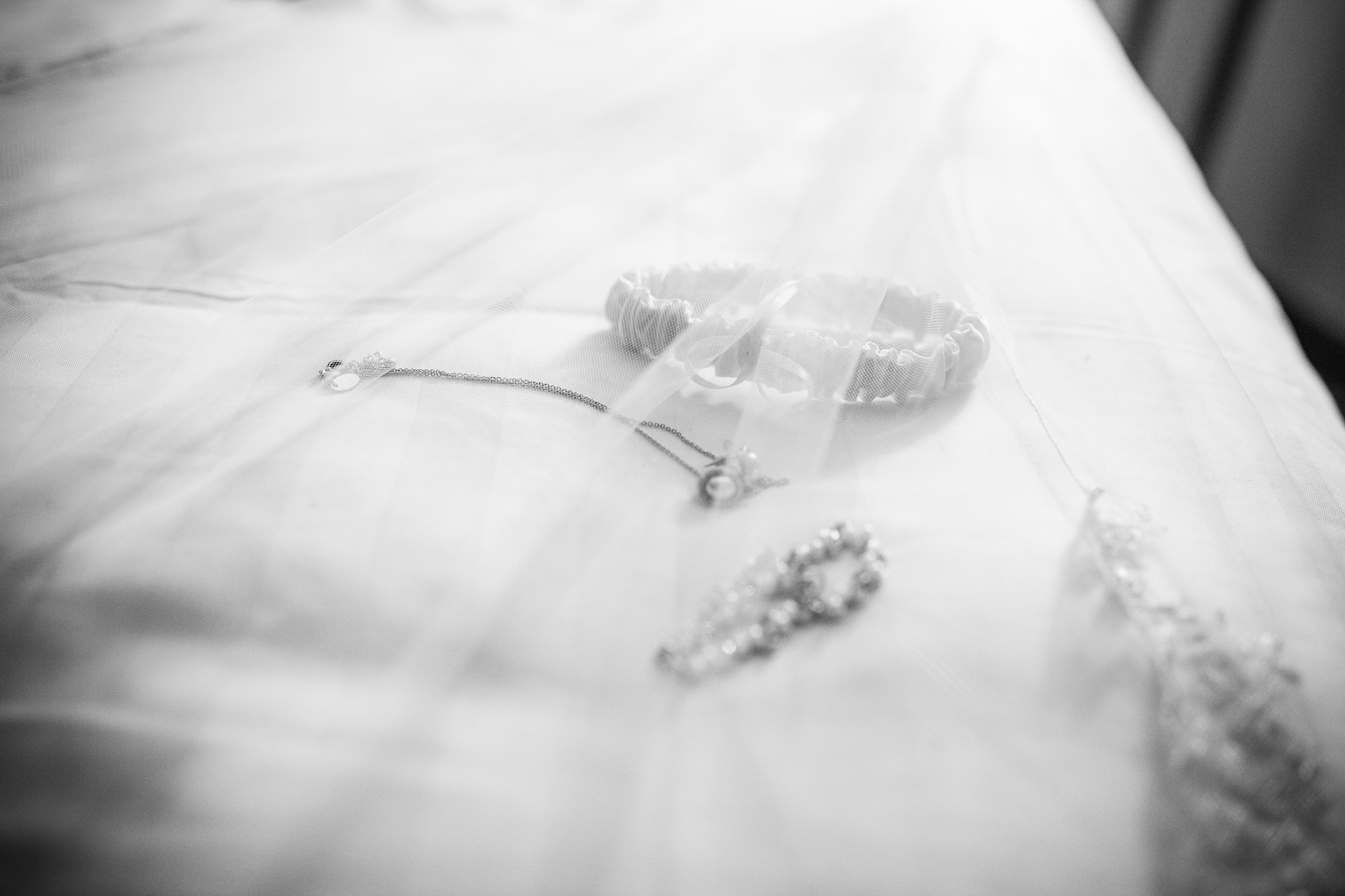IMG_0555149149.jpg
