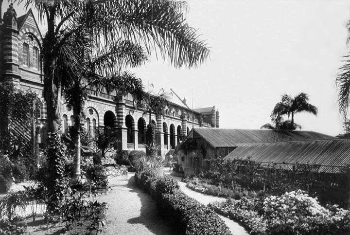  Bush Houses of the Queensland International Exhibition