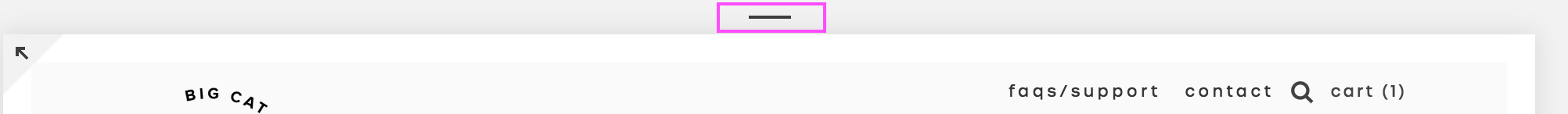 Mobile View in Squarespace.png