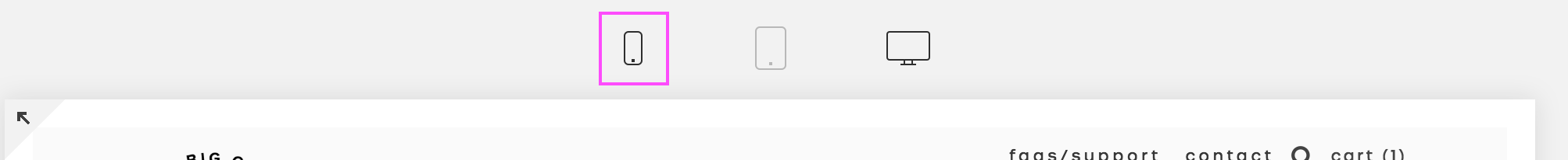 Mobile View in Squarespace 2.png