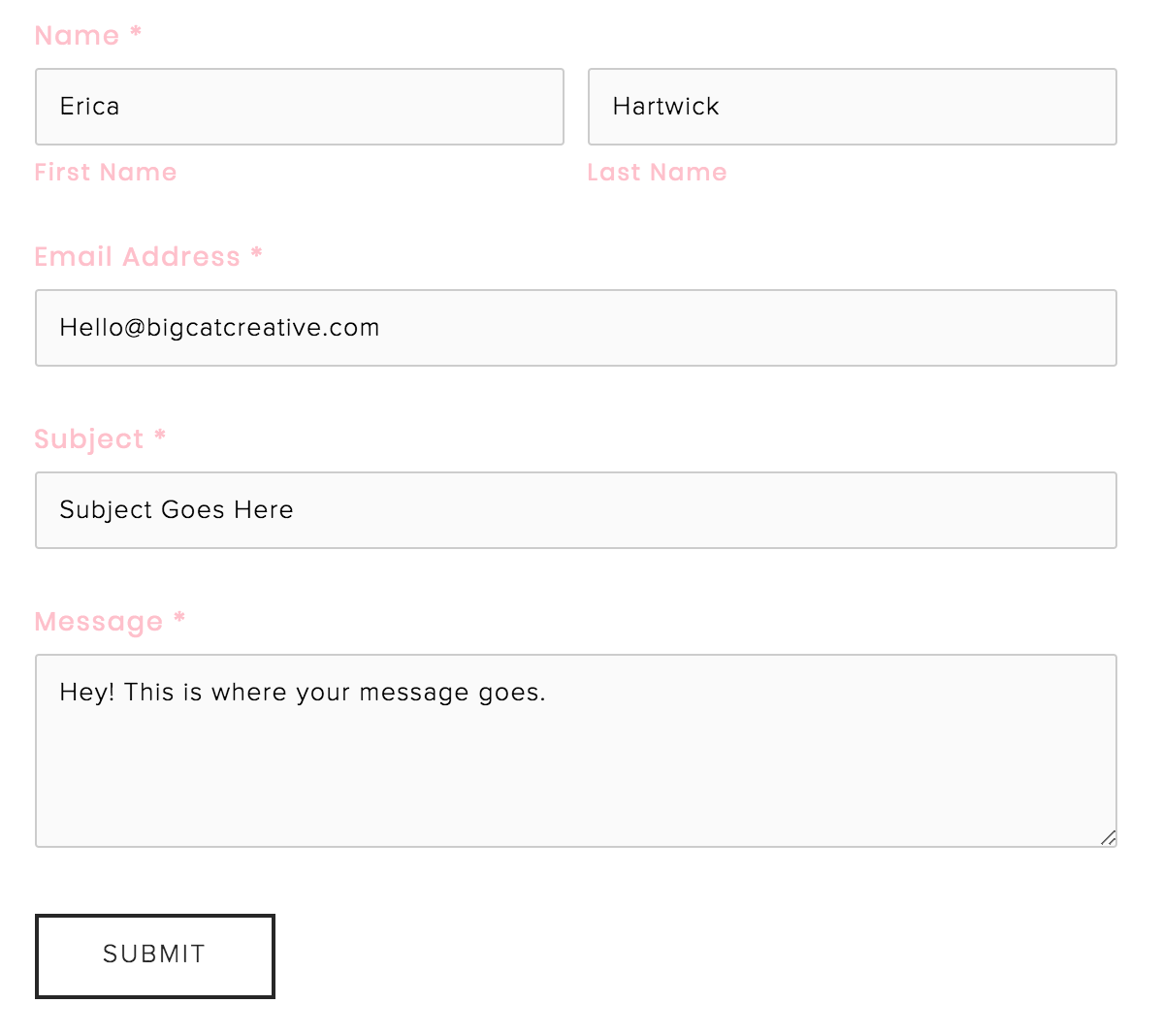 How to Customize Your Squarespace Contact Form copy + paste CSS code5.png