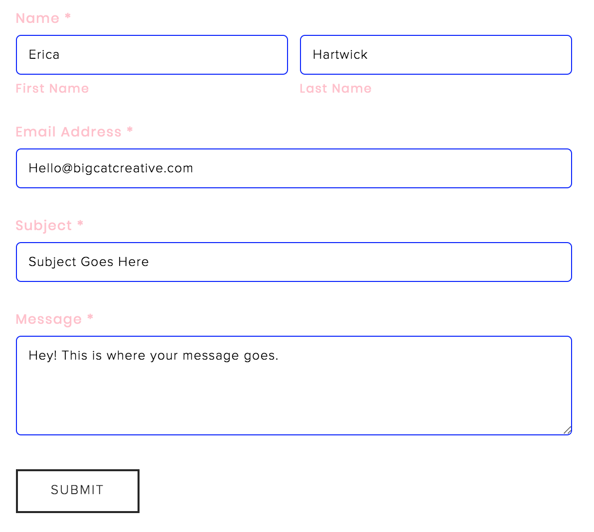 How to Make Your Squarespace Contact Form Look Less Ugly (Copy   Paste
