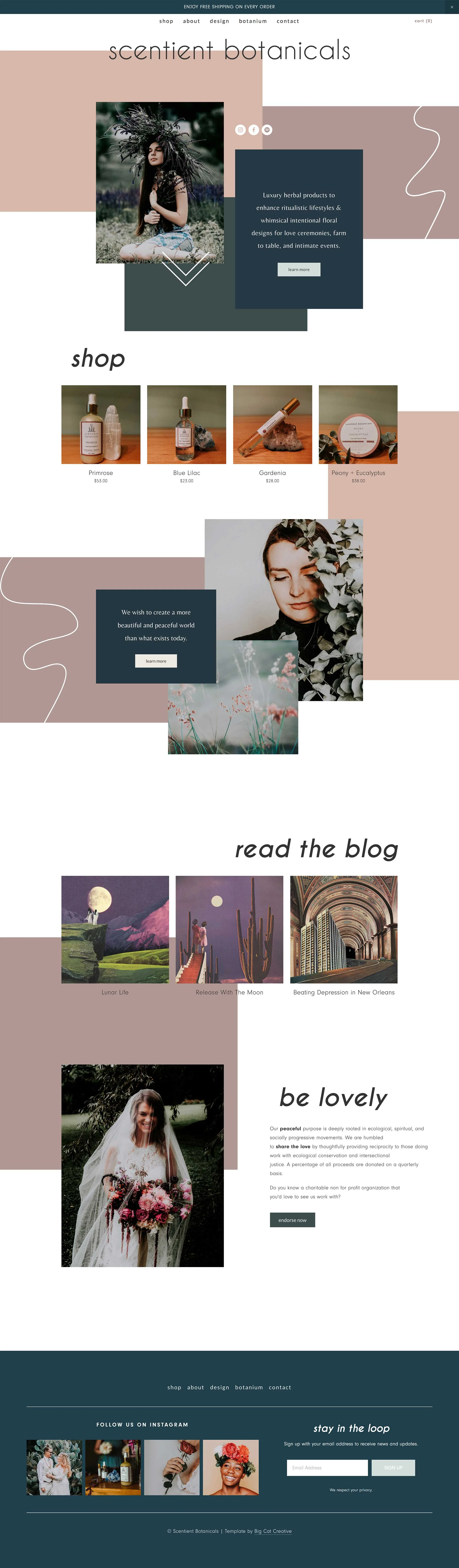 Wildwood Squarespace Template by Big Cat Creative - Easy to use Squarespace Template Kits - Squarespace Template | Squarespace Theme | Squarespace Website Design | Squarespace Template for Sale | Website Template | Website Theme | Modern Website Design | Squarespace Inspiration | Website Layout | Blog Design | Minimal Web Design | Squarespace Kits | Templates #squarespace #webdesign #design