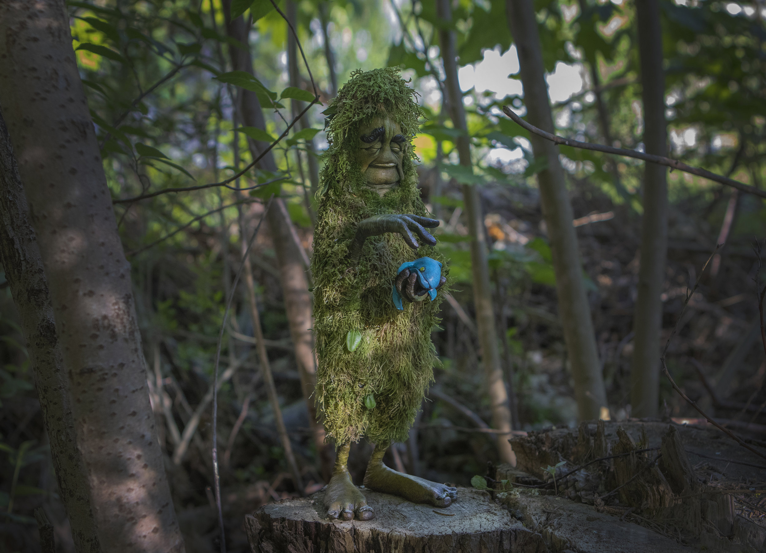 MOSS01.jpg