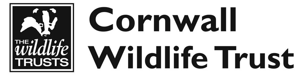 CWT-Logo-small.jpg
