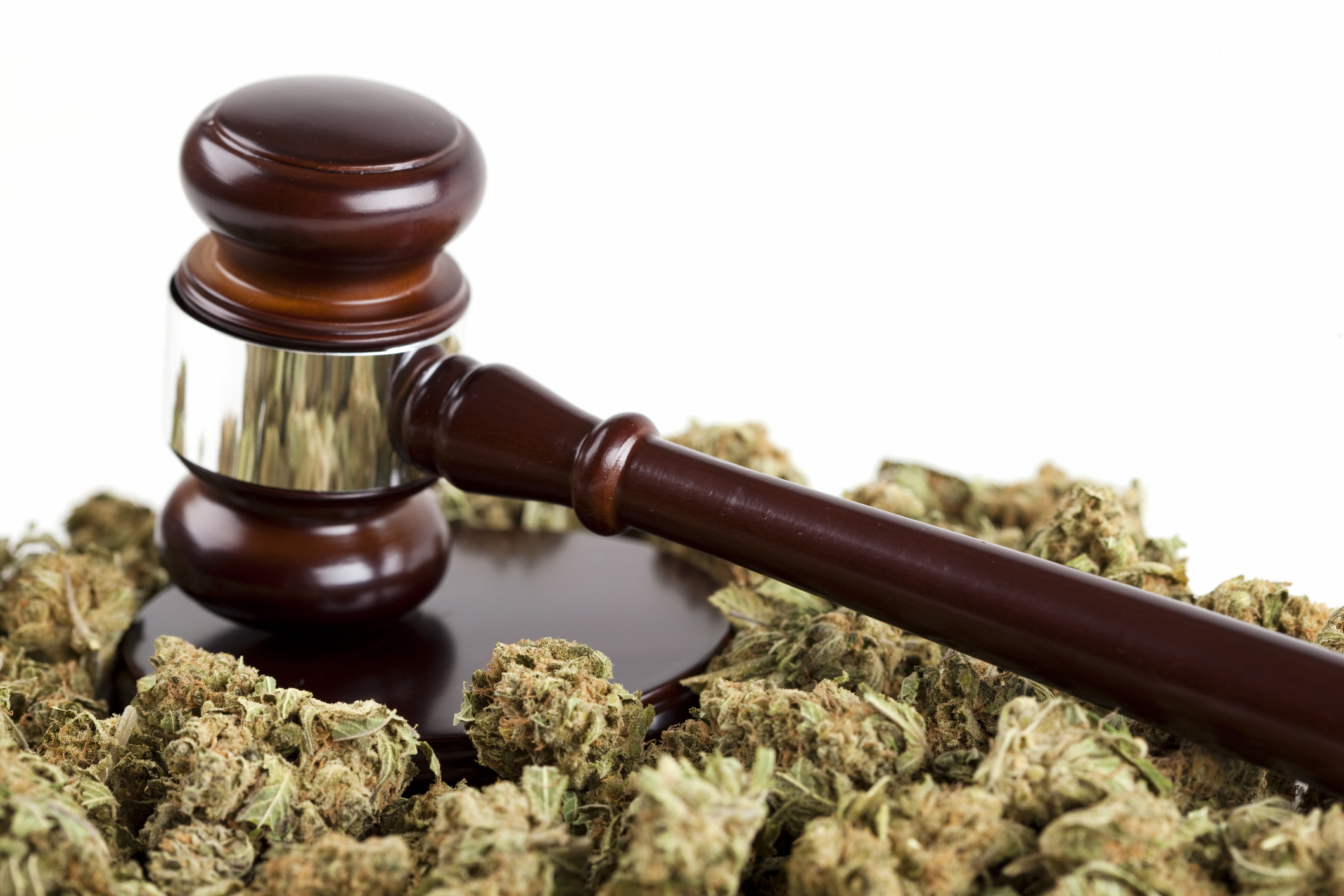 Michigan Medical Marijuana Litigation 