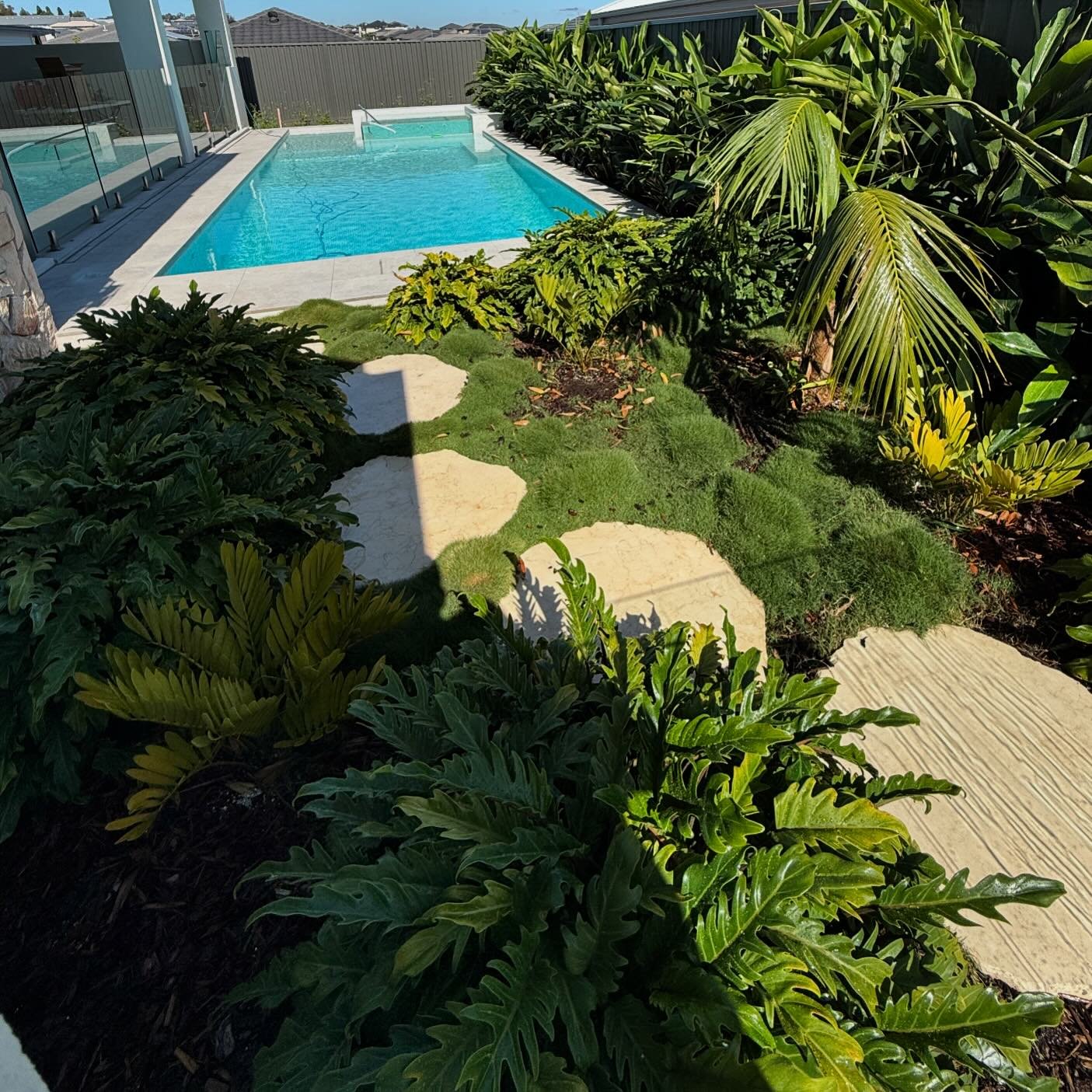 The lush green palette creates a welcome contrast to the soft architectural palette, whilst maintaining a low maintenance aspect
