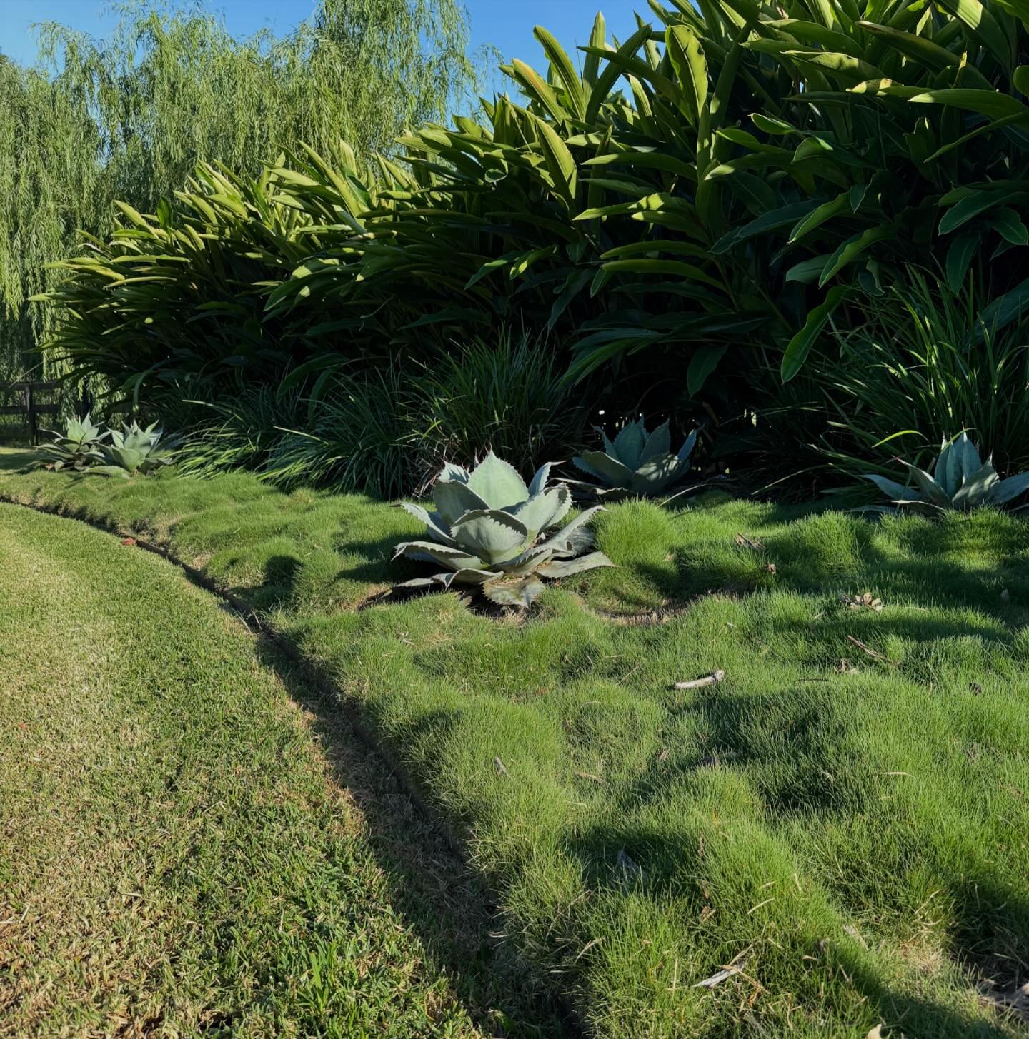 At Parklife Landscapes our landscape service brings together each element of the design, construction and maintenance process. From concept to completion, we&rsquo;re your partners on the journey towards living your best life outside