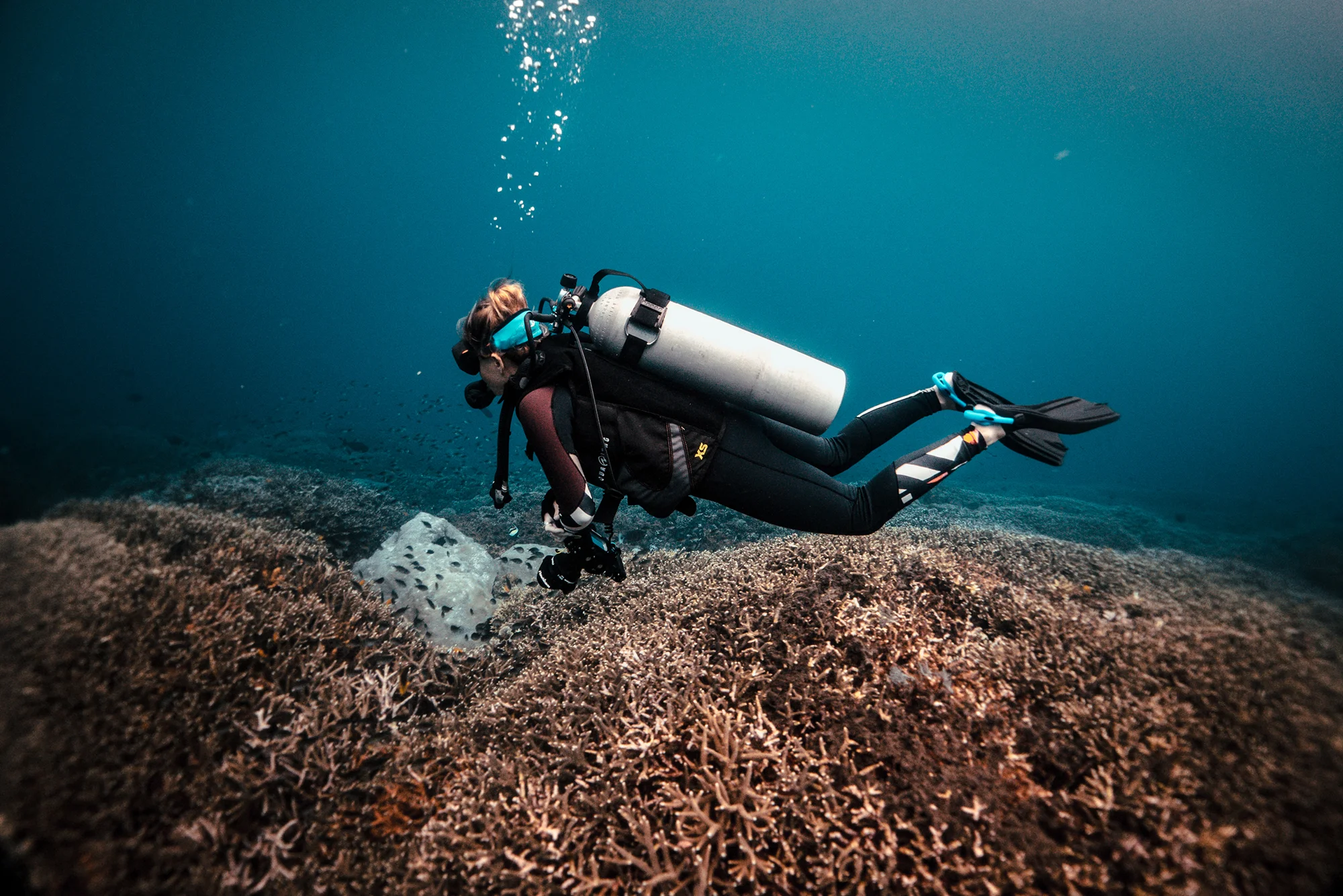 What Happens To My Ears When I Scuba Dive?