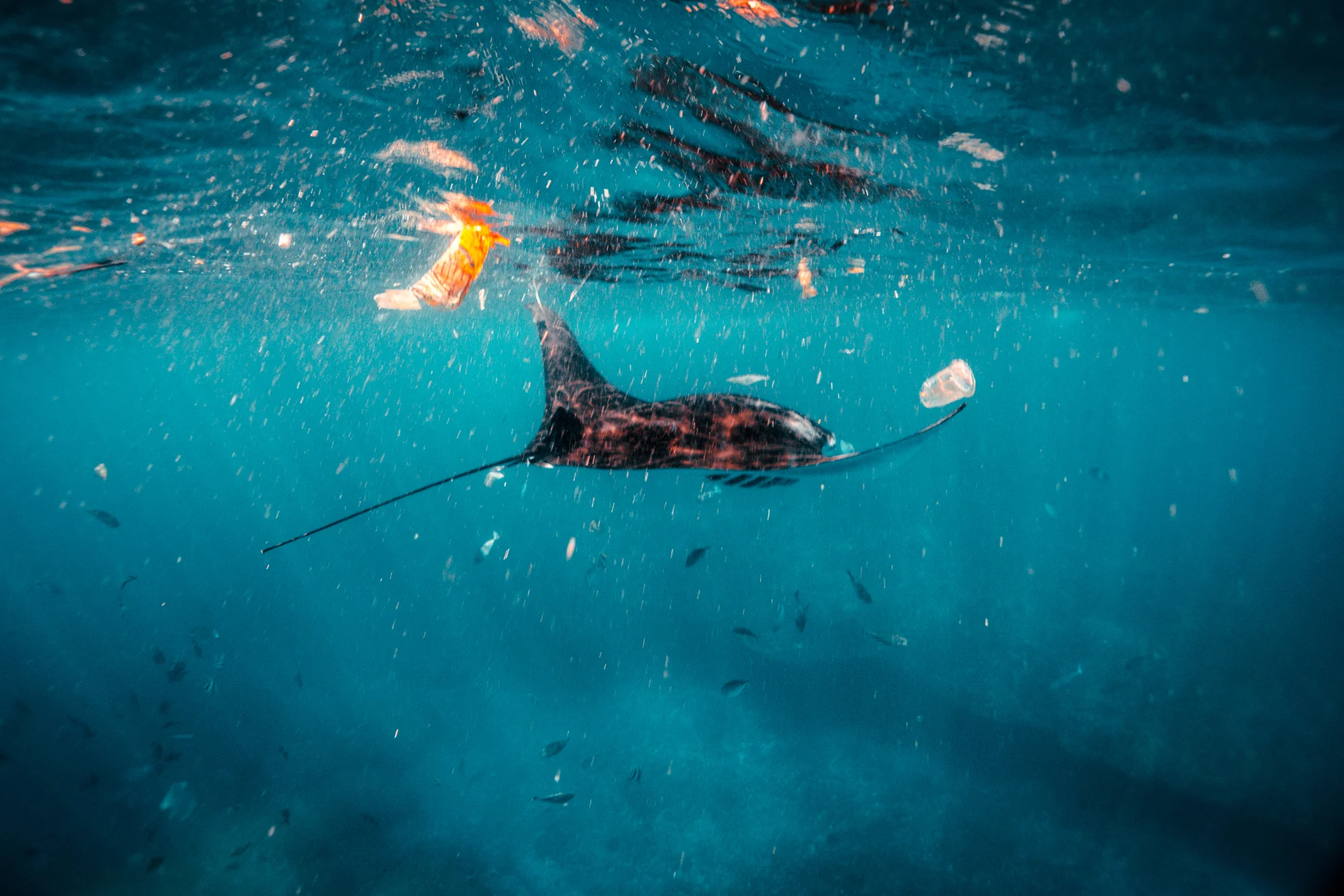 Top Tips for Ditching the Plastic on Nusa Lembongan