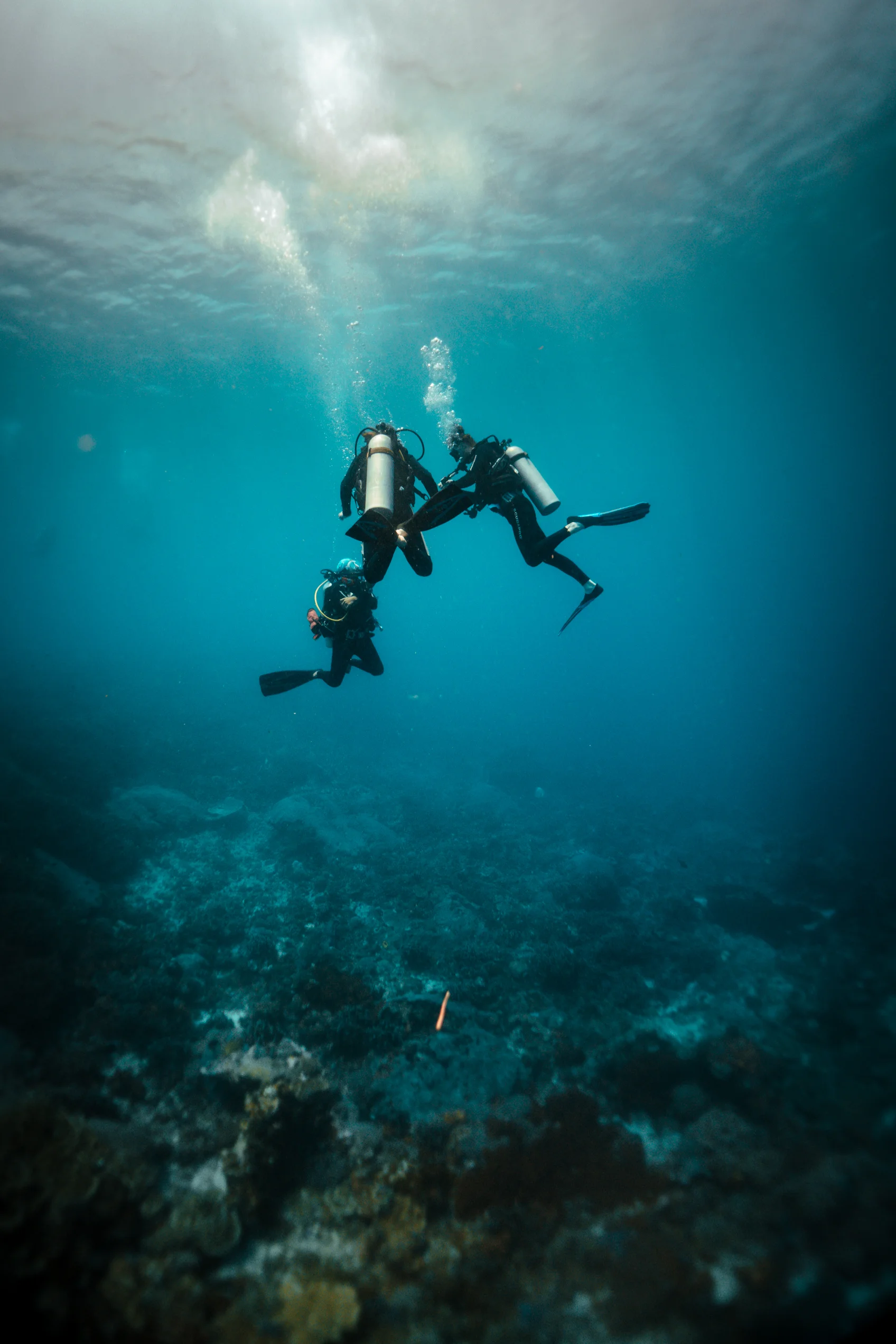 190205_MR_DIVE1-YELLOWBRIDGE-small_DSC04289.jpg