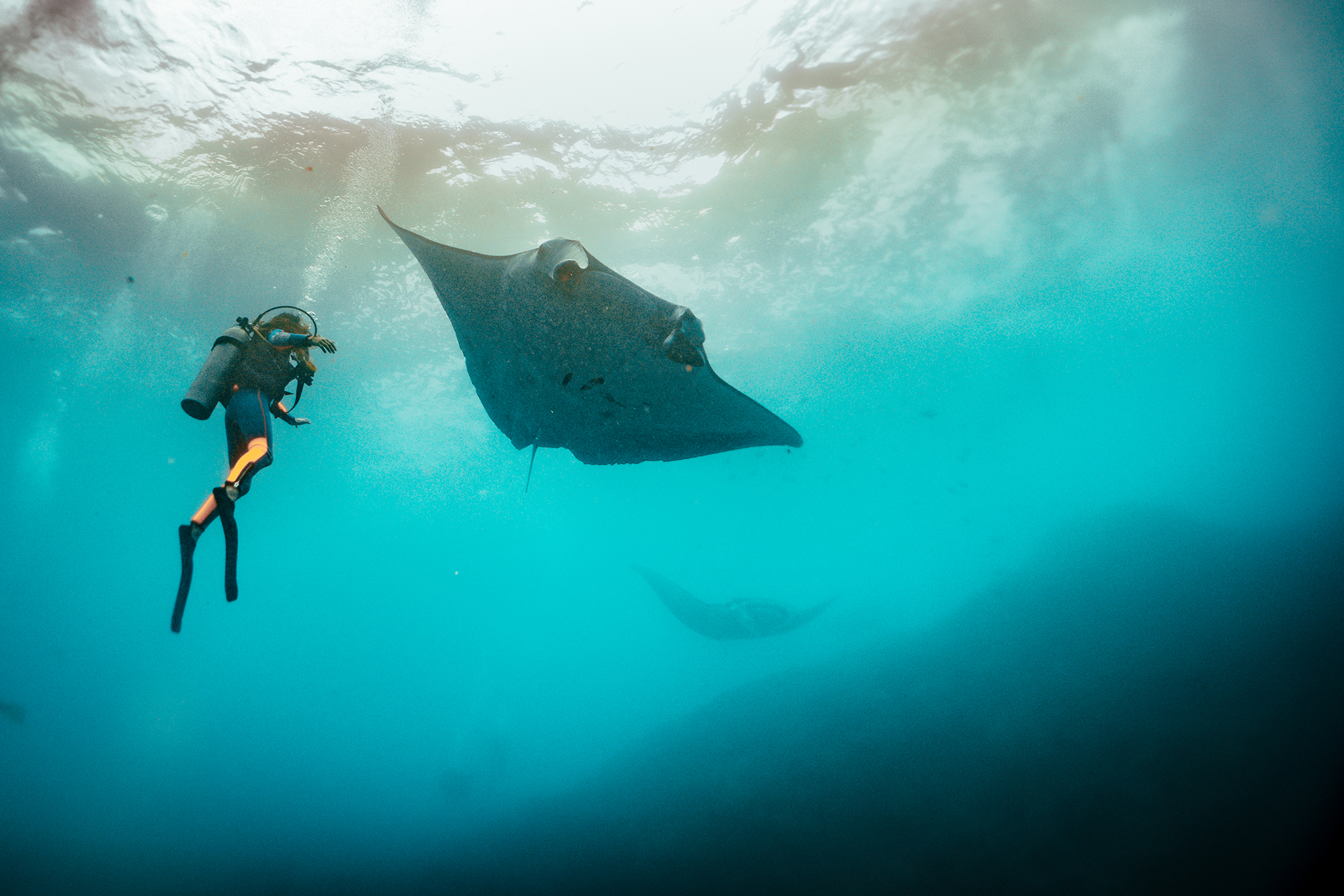 190416_MR-BCD-MANTA-POINT-GUIDING_DSC06382.png