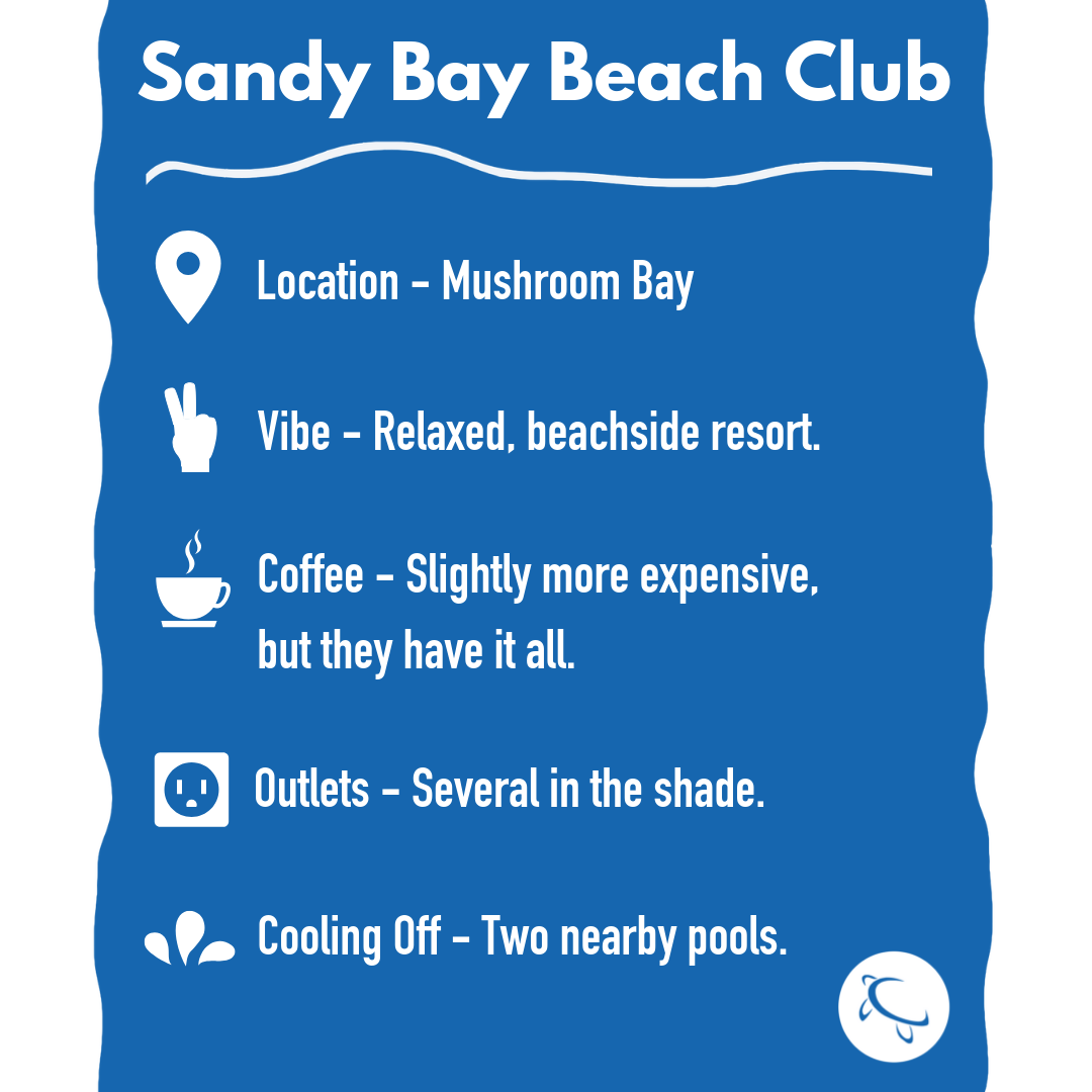 Image 5.png