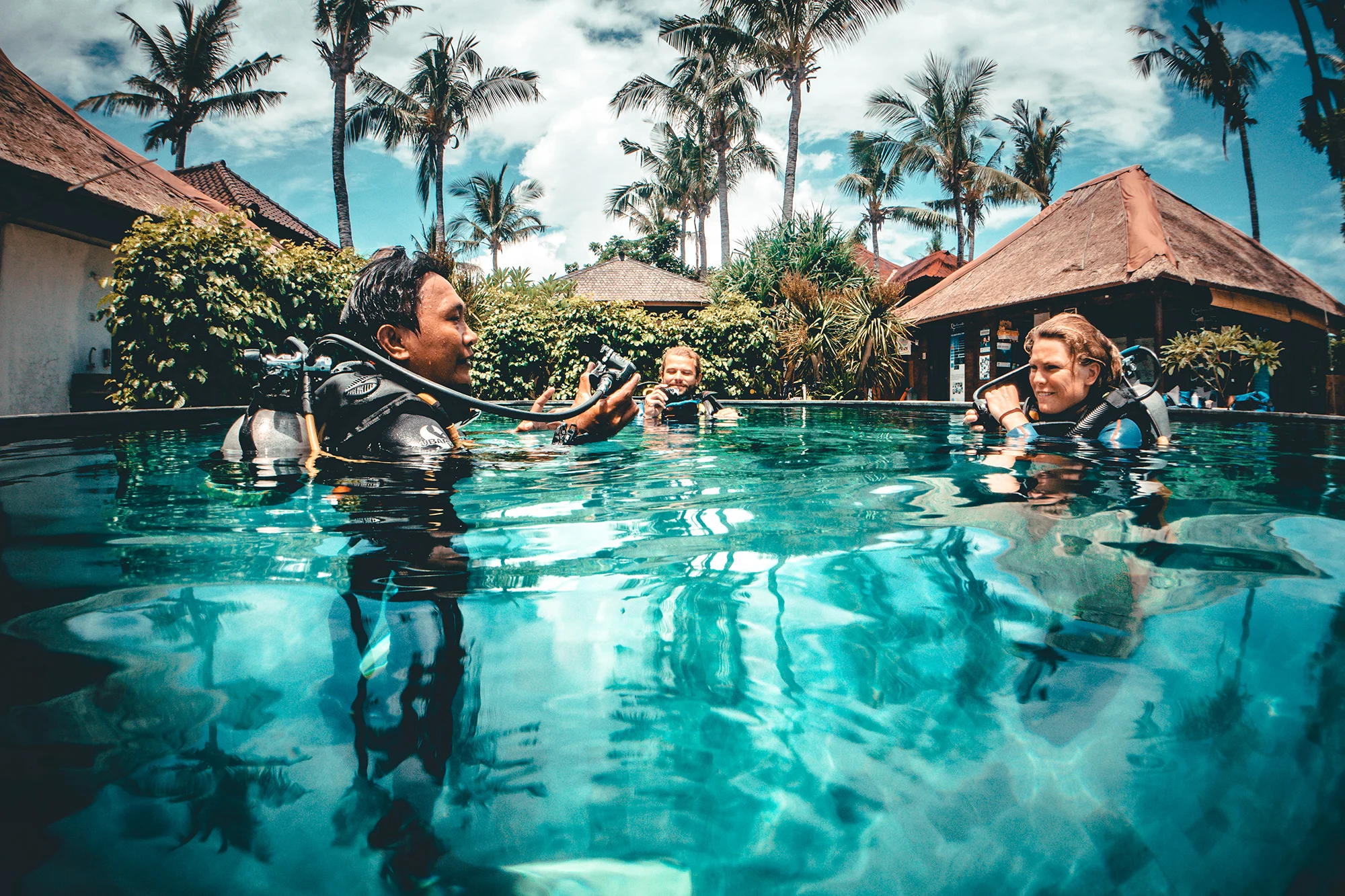 Divemasters: Where Are They Now?