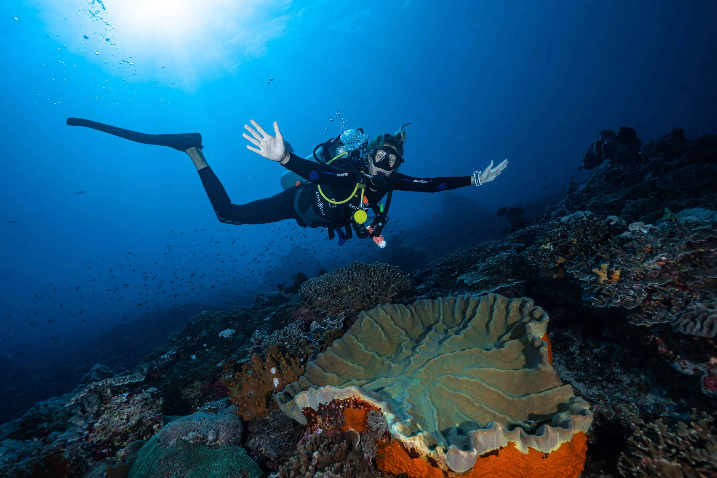 Why Diving Nusa Lembongan and Nusa Penida is Better than Ever