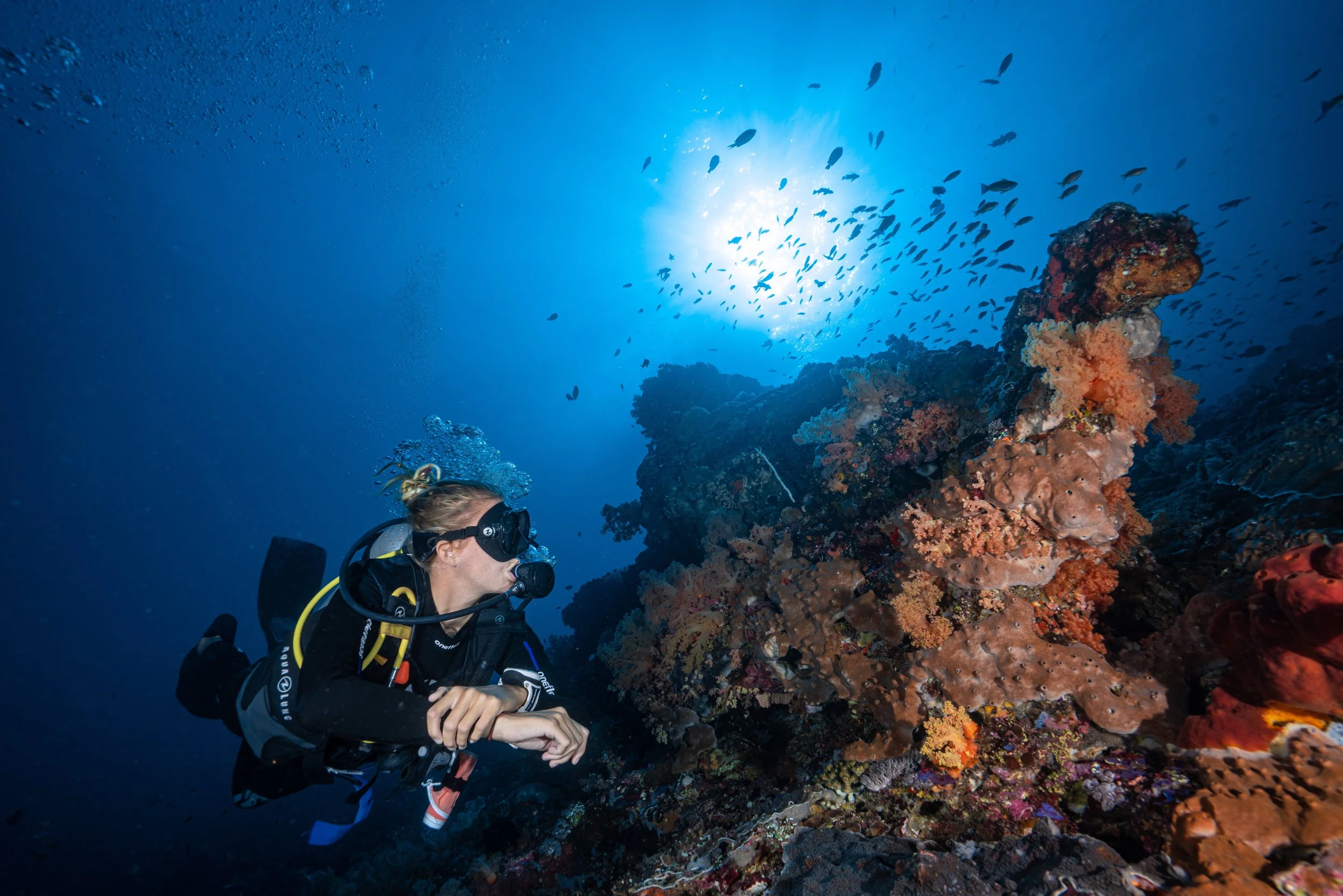 Best Value Scuba Diving in Asia 