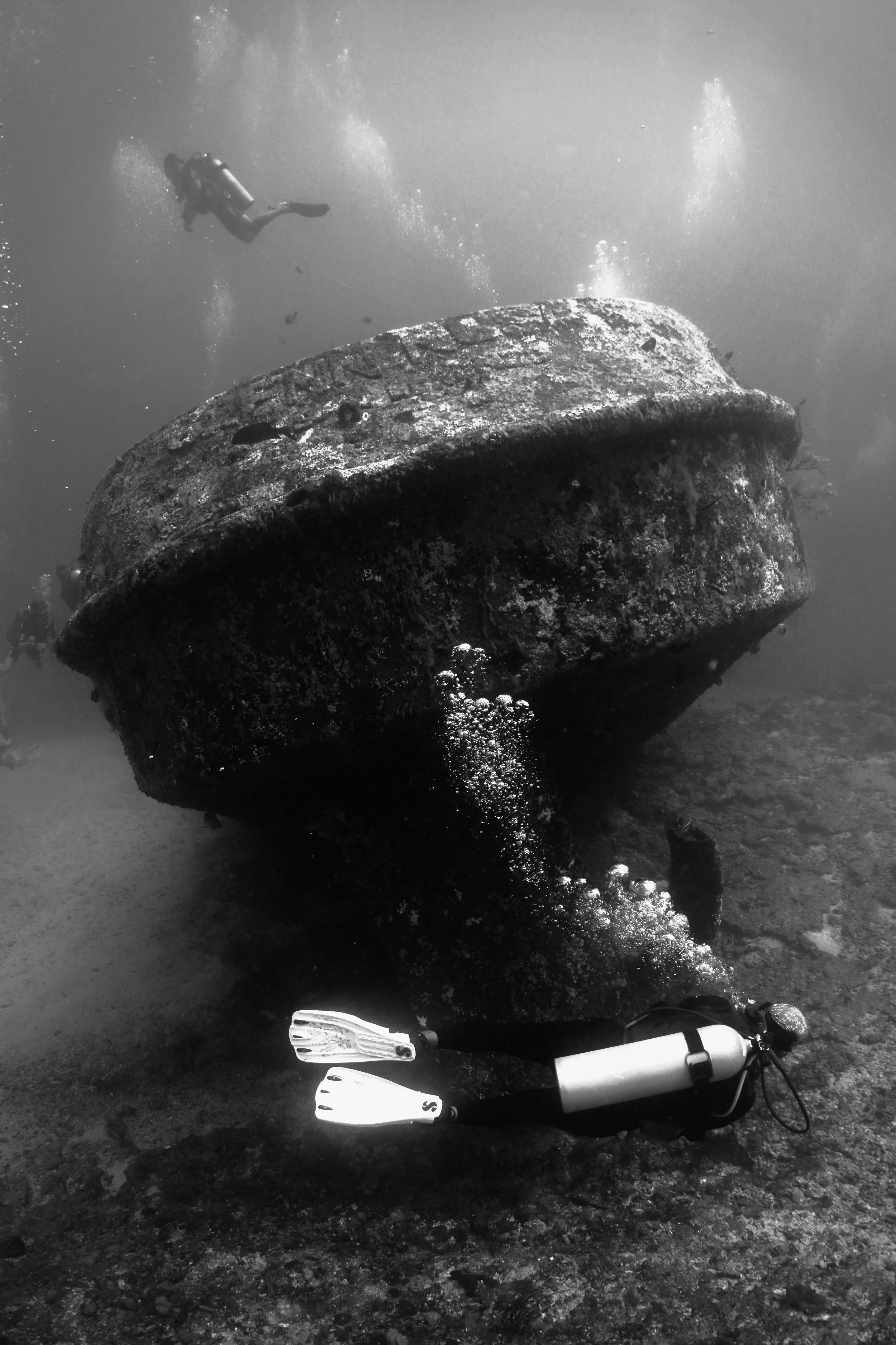 PADI Women's Day at Blue Corner Dive 