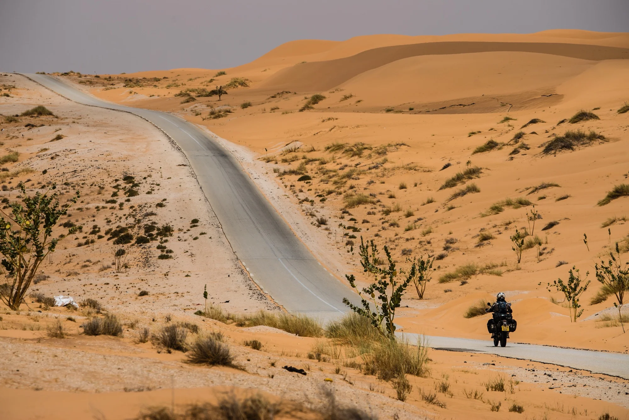   The Sahara in all its vastness.  