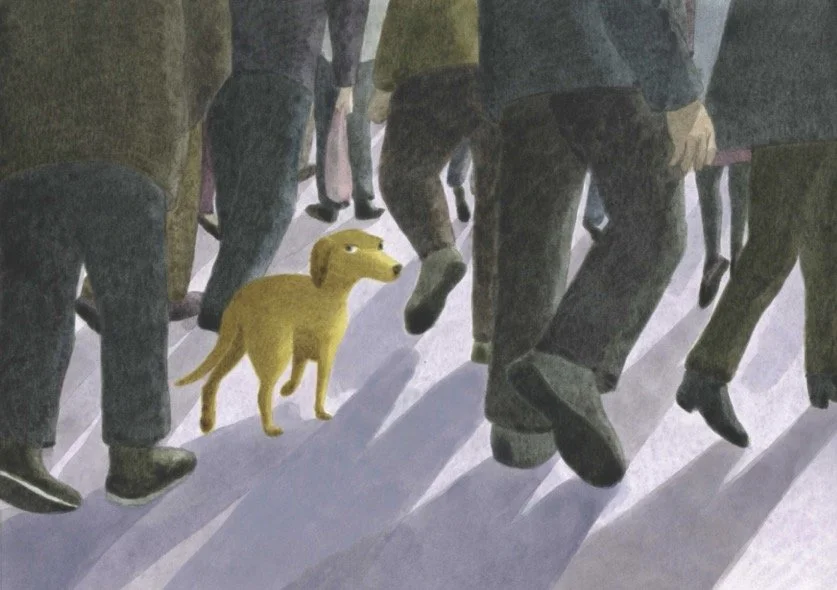 There's alwaysa dog20251228_13493339 copy.jpg