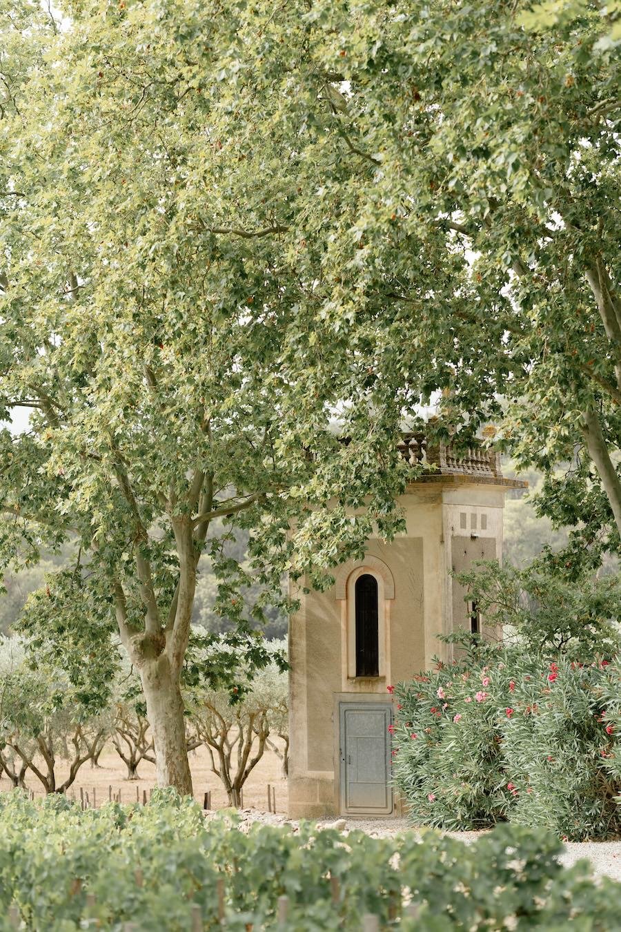 Romantic-Château-Wedding-South-of-France-Destination-Wedding-Photographer-Ellen-and-Ethan-02623.jpg
