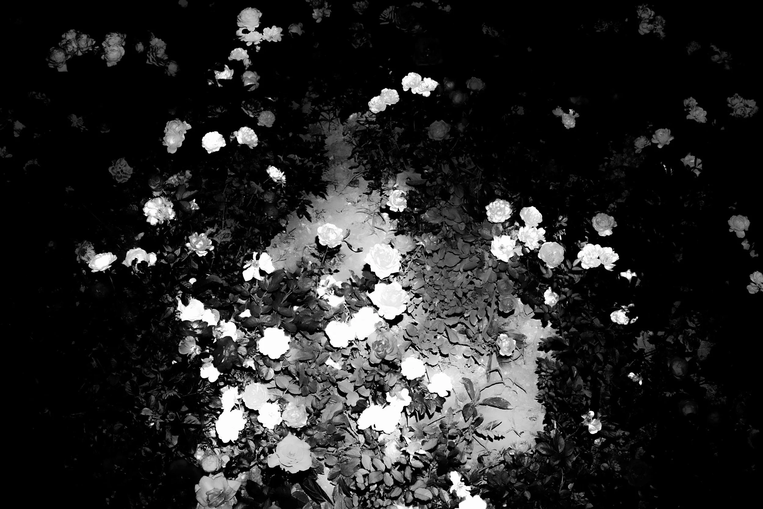 IMG_6892_Gao Ziyao.jpeg