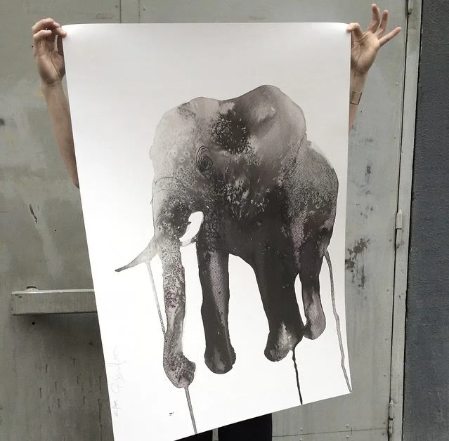 Concrete Jungle Stina Persson